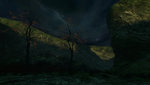 5f8ad048d052c.jpg