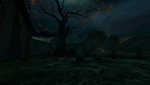 5f8ad048ceea4.jpg