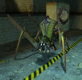 Antlion(hl2).jpg